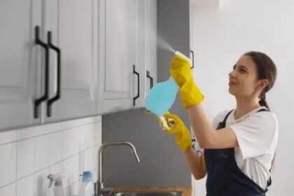 sin-acuerdo-salarial,-el-sector-domestico-sigue-sin-aumentos