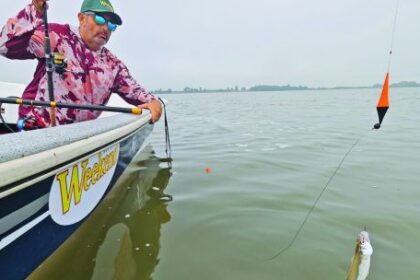 pejerrey:-15-lagunas-para-un-buen-arranque