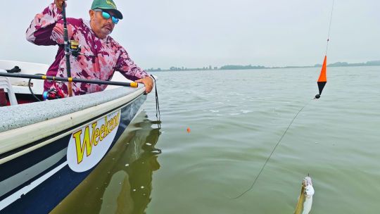 pejerrey:-15-lagunas-para-un-buen-arranque