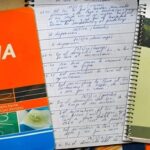 avanza-la-causa-cuadernos:-en-mayo-declararan-43-testigos-en-el-juicio-oral