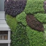 techos-verdes-y-jardines-verticales:-que-tener-en-cuenta-antes-de-instalarlos