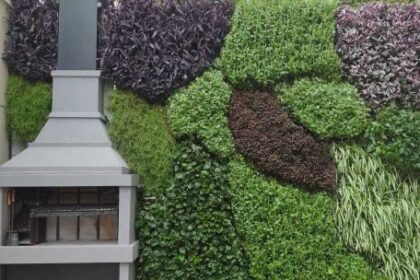 techos-verdes-y-jardines-verticales:-que-tener-en-cuenta-antes-de-instalarlos