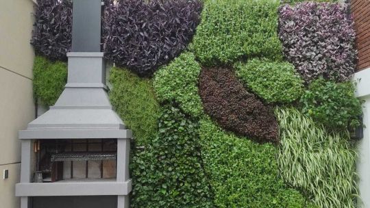 techos-verdes-y-jardines-verticales:-que-tener-en-cuenta-antes-de-instalarlos