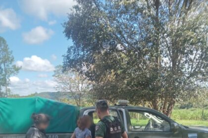 una-mujer-salio-despedida-de-un-carro-en-movimiento-y-sufrio-lesiones-en-panambi