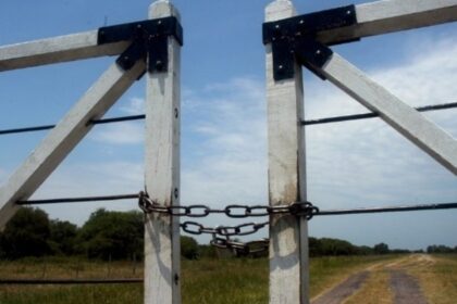 “la-confianza-es-determinante”:-se-enfrio-el-interes-por-comprar-campos-en-marzo-debido-a-la-“incertidumbre”-politica-y-economica
