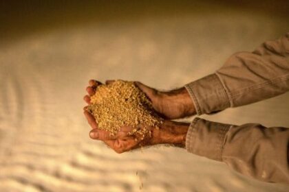 netherlands-rejects-argentina-soy-meal-cargoes-over-gmo-issue
