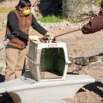 el-ecoparque-se-reinventa:-simulacros-de-rescate-y-visitas-inclusivas-marcan-una-nueva-etapa