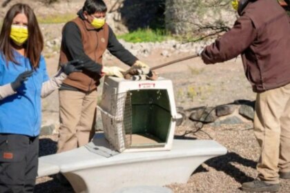 el-ecoparque-se-reinventa:-simulacros-de-rescate-y-visitas-inclusivas-marcan-una-nueva-etapa
