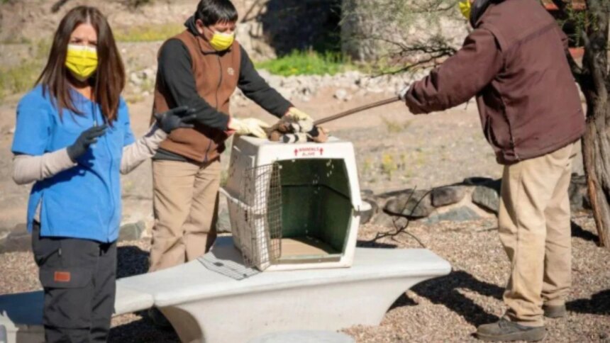el-ecoparque-se-reinventa:-simulacros-de-rescate-y-visitas-inclusivas-marcan-una-nueva-etapa