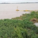 invasion-de-camalotes-en-el-parana:-como-afecta-la-pesca-y-que-riesgos-genera