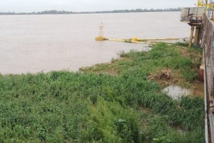 invasion-de-camalotes-en-el-parana:-como-afecta-la-pesca-y-que-riesgos-genera