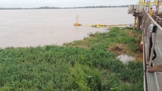 invasion-de-camalotes-en-el-parana:-como-afecta-la-pesca-y-que-riesgos-genera