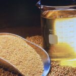 el-aceite-de-soja-vuela-en-chicago:-el-precio-subio-mas-de-un-50%-en-lo-que-va-del-ano-y-alcanzo-maximos-desde-noviembre-de-2022