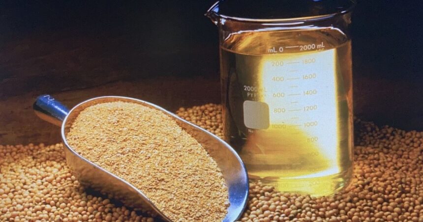 el-aceite-de-soja-vuela-en-chicago:-el-precio-subio-mas-de-un-50%-en-lo-que-va-del-ano-y-alcanzo-maximos-desde-noviembre-de-2022