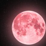 luna-llena-de-abril-2026:-cuando-se-podra-ver-y-por-que-se-la-llama-“luna-rosa”