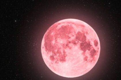 luna-llena-de-abril-2026:-cuando-se-podra-ver-y-por-que-se-la-llama-“luna-rosa”