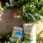 “sostenerlo-cada-vez-cuesta-mas”:-la-cooperativa-las-tunas-mantiene-en-$380-el-kilo-de-hoja-verde-de-yerba-en-un-escenario-complejo