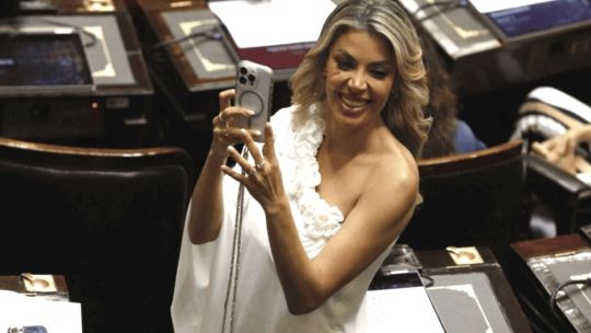 polemico-proyecto-de-virginia-gallardo:-busca-declarar-de-interes-los-premios-martin-fierro