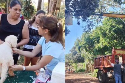 avanzan-los-operativos-de-alto-impacto-ambiental-en-eldorado:-se-desplegaron-tareas-en-el-barrio-bompadre