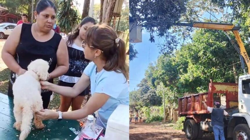 avanzan-los-operativos-de-alto-impacto-ambiental-en-eldorado:-se-desplegaron-tareas-en-el-barrio-bompadre