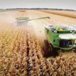 suben-los-costos-del-sector-agropecuario-por-el-combustible:-“la-tarifa-la-hemos-aumentado-un-5%”