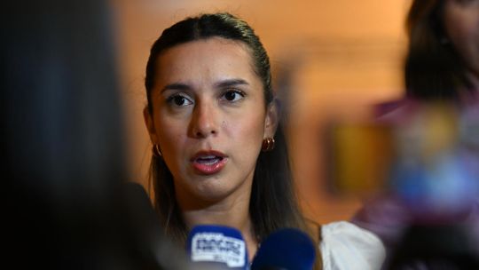 brazilian-court-allows-argentine-lawyer-accused-of-racism-to-return-home
