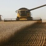 la-liquidacion-del-campo-alcanzo-los-us$-2.032-millones-en-marzo