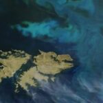 malvinas:-“falta-de-estrategia”-y-alineamiento-con-eeuu.,-un-jurista-advierte-sobre-el-reclamo-de-soberania