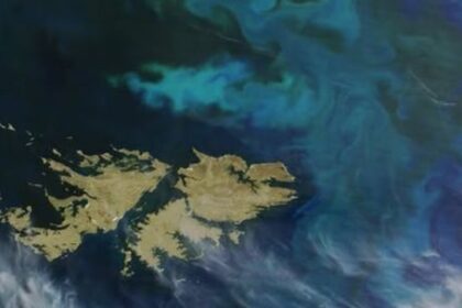 malvinas:-“falta-de-estrategia”-y-alineamiento-con-eeuu.,-un-jurista-advierte-sobre-el-reclamo-de-soberania