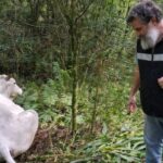 alerta-sanitaria-en-el-nea:-detectan-brotes-de-rabia-paresiante-en-corrientes-y-misiones