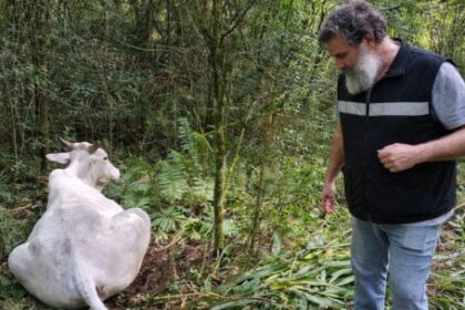 alerta-sanitaria-en-el-nea:-detectan-brotes-de-rabia-paresiante-en-corrientes-y-misiones