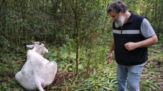 alerta-sanitaria-en-el-nea:-detectan-brotes-de-rabia-paresiante-en-corrientes-y-misiones
