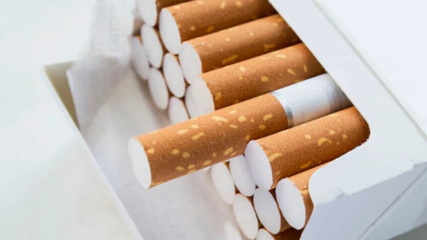 estrategia-«net-positive»:-philip-morris-invierte-en-restaurar-bosques-nativos-en-salta