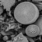 cientificos-argentinos-crearon-un-dispositivo-domestico-para-filtrar-micro-y-nanoplasticos-del-agua