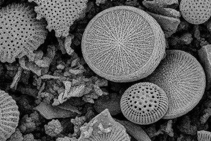 cientificos-argentinos-crearon-un-dispositivo-domestico-para-filtrar-micro-y-nanoplasticos-del-agua