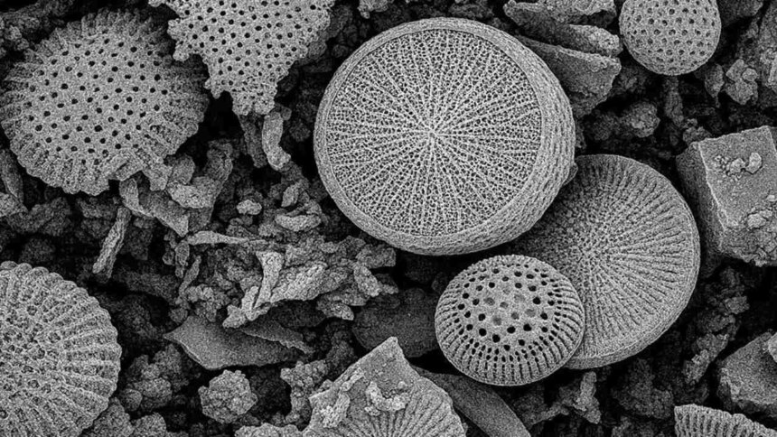 cientificos-argentinos-crearon-un-dispositivo-domestico-para-filtrar-micro-y-nanoplasticos-del-agua