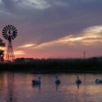 escapadas-de-naturaleza:-5-destinos-verdes-a-menos-de-2-horas-en-auto-desde-buenos-aires
