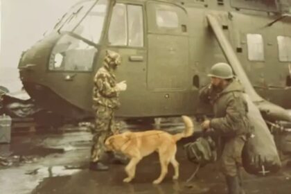 la-historia-de-mortero,-el-perro-que-viajo-a-malvinas-y-fue-prisionero-de-guerra