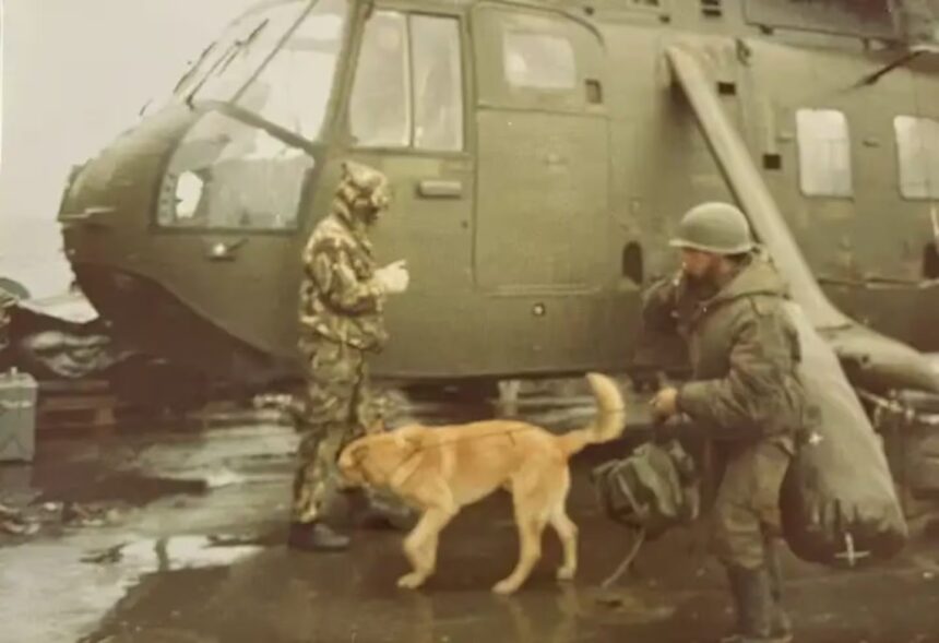 la-historia-de-mortero,-el-perro-que-viajo-a-malvinas-y-fue-prisionero-de-guerra