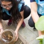 brote-de-chikungunya:-envian-test-rapidos-y-preparan-operativos-en-zonas-criticas