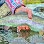 copahue:-truchas-en-aguas-frias-y-calientes