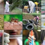alerta-por-dengue-en-corrientes-|-salud-publica-no-descarta-un-brote-en-abril-o-mayo-y-pide-reforzar-la-prevencion-por-el-movimiento-turistico