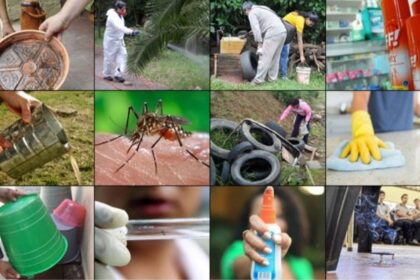 alerta-por-dengue-en-corrientes-|-salud-publica-no-descarta-un-brote-en-abril-o-mayo-y-pide-reforzar-la-prevencion-por-el-movimiento-turistico