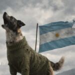 malvinas:-¿sabias-que-argentina-envio-18-perros-a-la-guerra-junto-a-los-soldados?-conoce-sus-historias