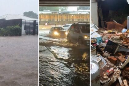temporal-en-brasil-|-intensas-lluvias-en-parana-provocaron-graves-inundaciones,-destrozos-en-viviendas-y-la-muerte-de-animales-en-varias-ciudades