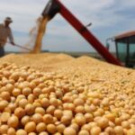 cordoba:-el-estado-se-queda-con-el-60,2%-de-la-renta-agricola-en-medio-del-impacto-global-por-la-guerra
