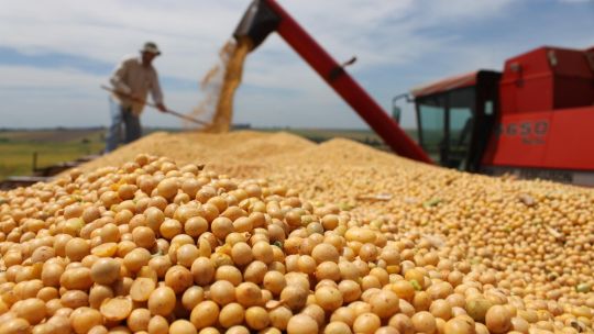 cordoba:-el-estado-se-queda-con-el-60,2%-de-la-renta-agricola-en-medio-del-impacto-global-por-la-guerra