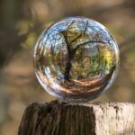 la-percepcion-del-consumidor-como-factor-estrategico-para-el-desarrollo-de-la-bioeconomia-regional