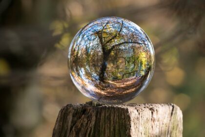 la-percepcion-del-consumidor-como-factor-estrategico-para-el-desarrollo-de-la-bioeconomia-regional