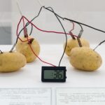 papas,-cables-y-arte:-una-muestra-en-fan-revisita-el-legado-de-victor-grippo-en-buenos-aires